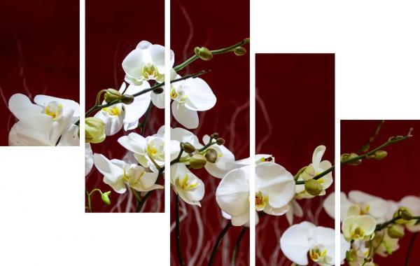 Картина модульная цветы CV-06