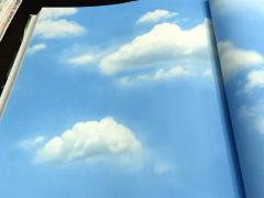 Обои 88421-2 виниловые коллекционные Natural облака 1.06*15.6м