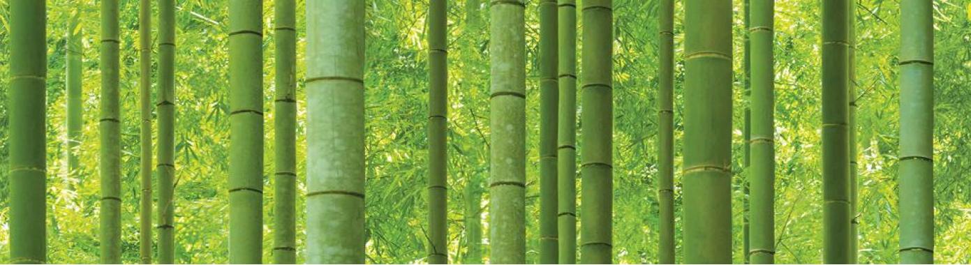 Обои 88423-1 виниловые коллекционные Natural бамбук 1.06*15.6м
