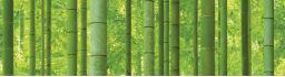 Обои 88423-1 виниловые коллекционные Natural бамбук 1.06*15.6м